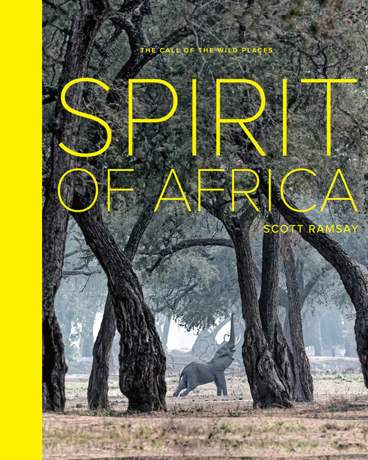Spirit of Africa